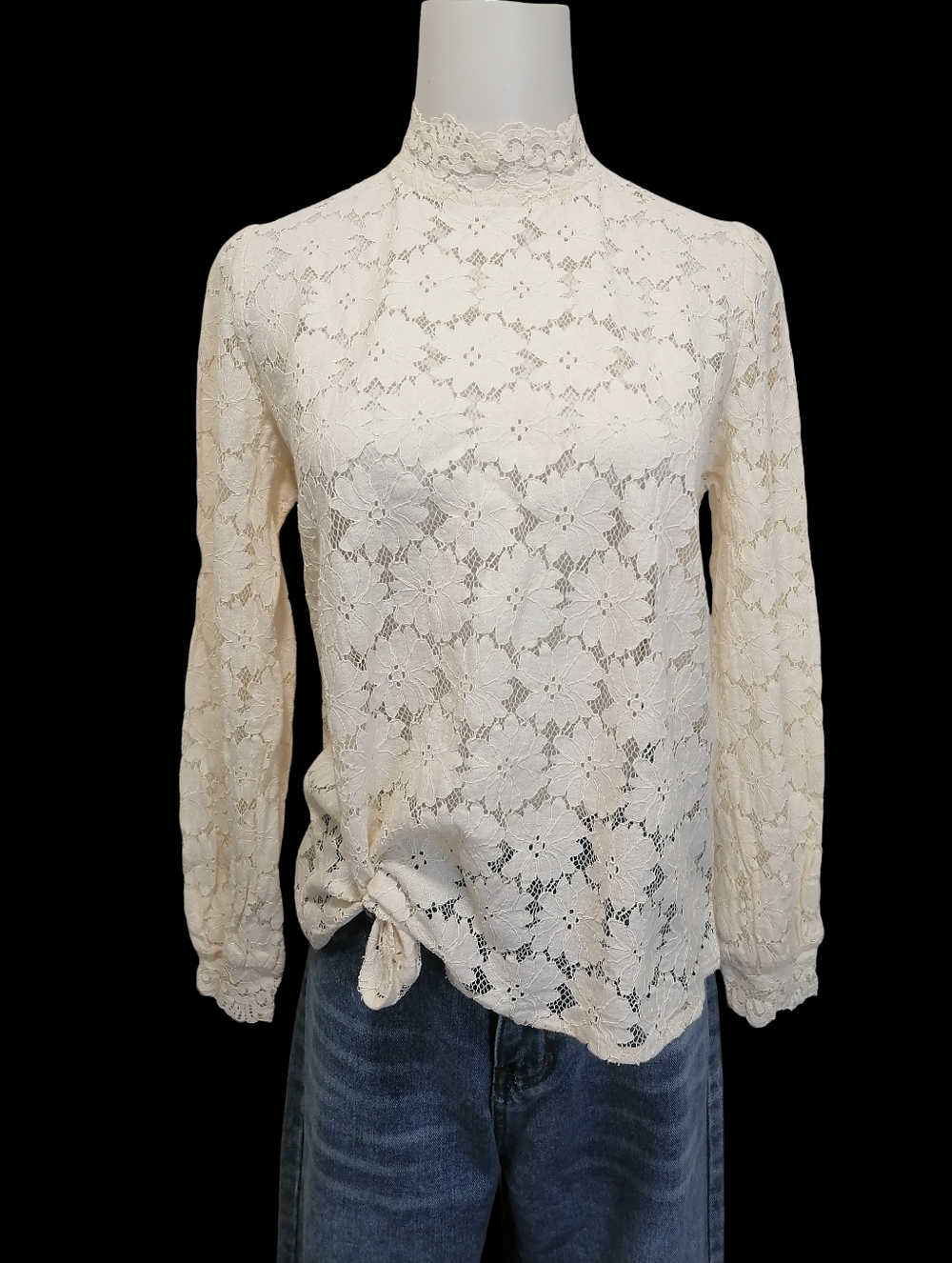🐝🐝🐝 Lace High-Neck Long-Sleeve Top in Cream